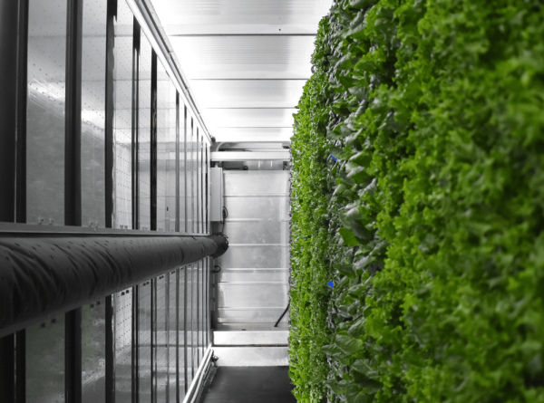 New Greenery Container Freight Farms - Image 19