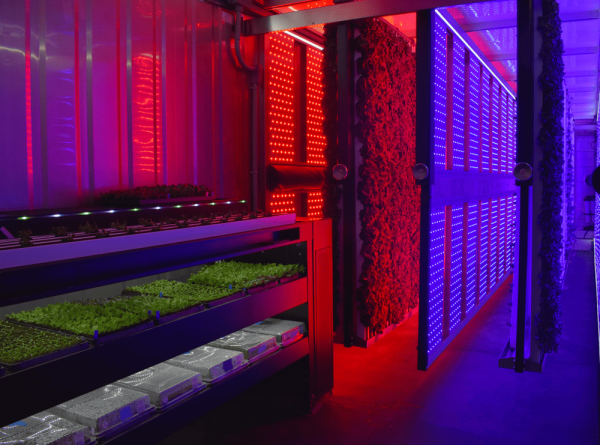 New Greenery Container Freight Farms - Image 11