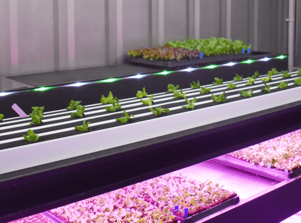 New Greenery Container Freight Farms - Image 10