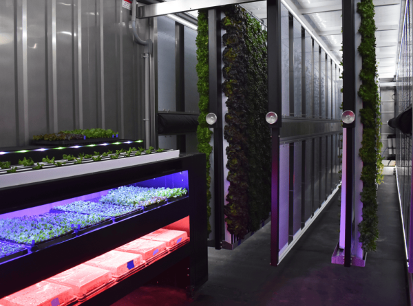 New Greenery Container Freight Farms - Image 9