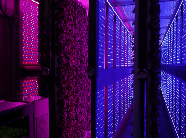 New Greenery Container Freight Farms - Image 8