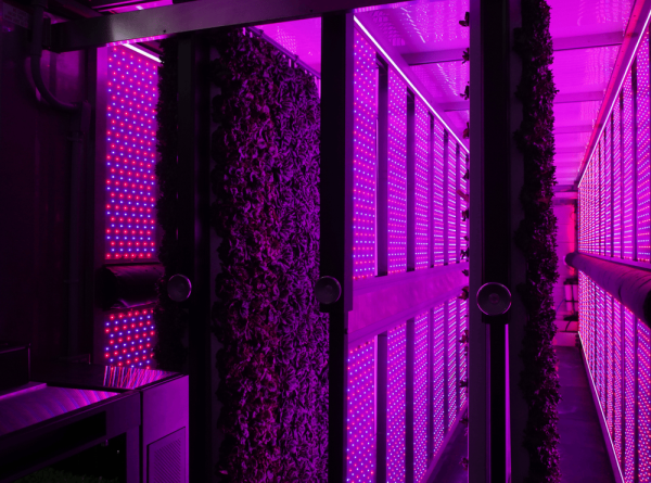 New Greenery Container Freight Farms - Image 7
