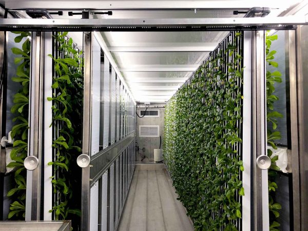 New Greenery Container Freight Farms - Image 22