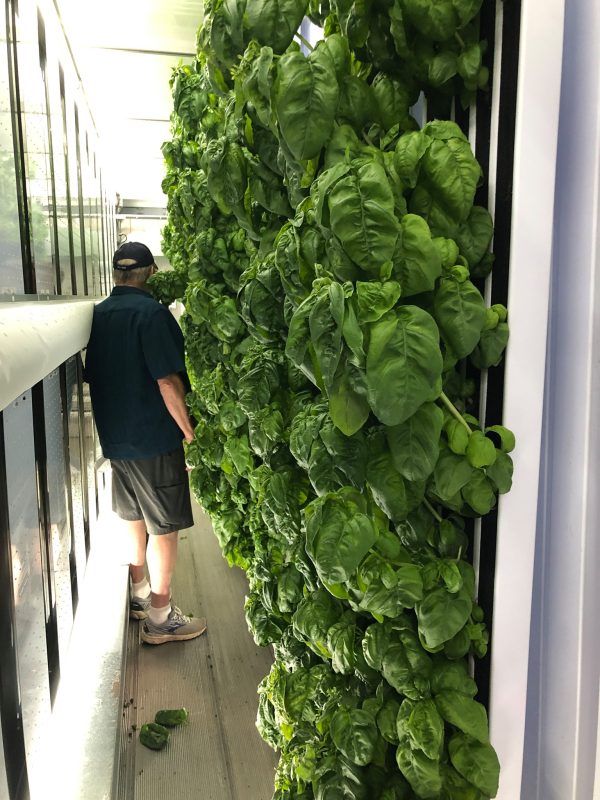 New Greenery Container Freight Farms - Image 4