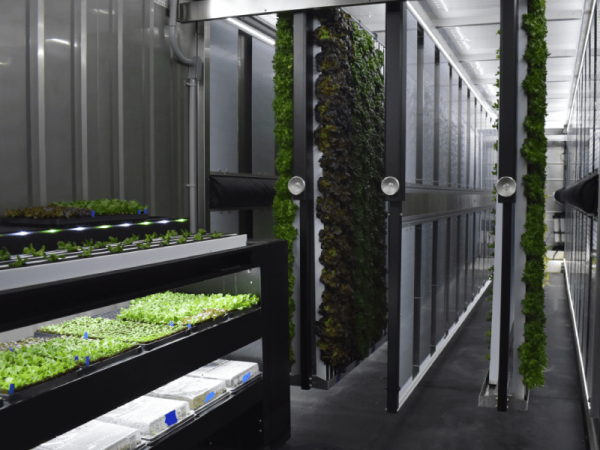 New Greenery Container Freight Farms - Image 20